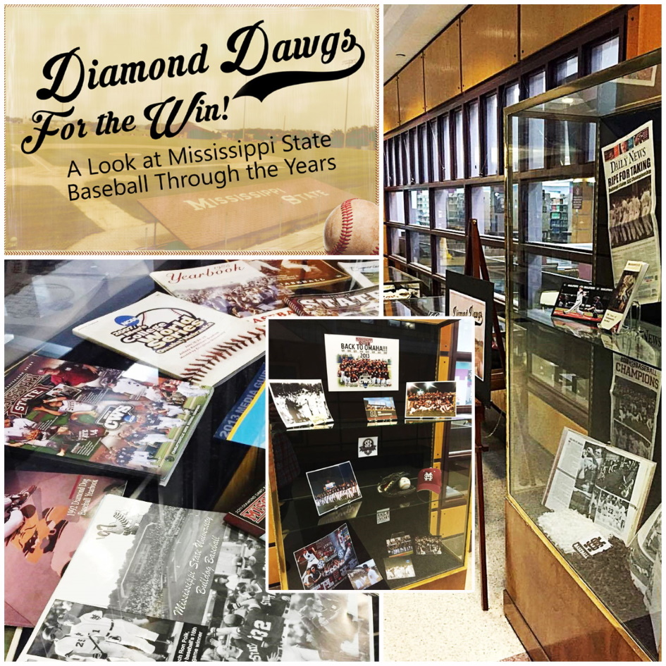 Photo of the Diamond Dawgs Summer exhibit