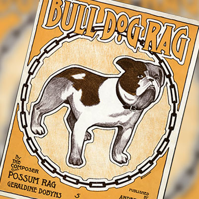 Bull dog Rag sheet music cover