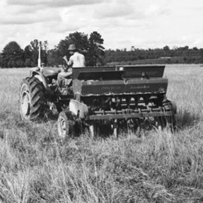 Langfitt Farm Families of the Week digital collection