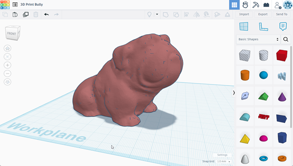 3D Tinkercad Bully